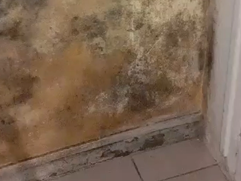 Traitement remontées capillaires